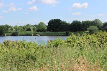 Westerhammrich Leer