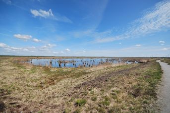 Moorerlebnispfad "Stapeler Moor"