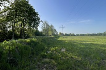 Wallhecken-Umwelt-Zentrum Leer