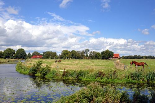 Moormerland Landschaft