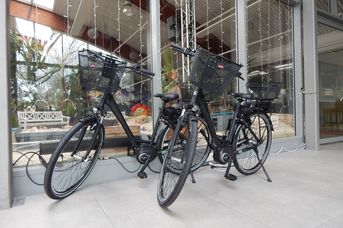 Fahrradverleih "Blumenreich" (E-Bike)