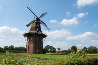 Heiraten in der Windmühle Holtland