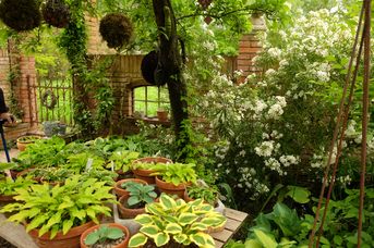 Schaugarten Moorjuwel