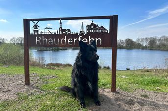 Selfie-Point am Hahnentanger See