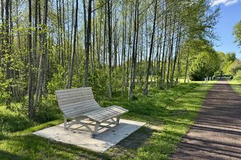 Landschaftsliege am Landschaftspfad Oll Wiek - Birkenwäldchen