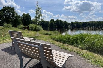 Landschaftsliegen am Hahnentanger See
